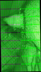 Video 346595401: tiny dick, gay cock dicks, fat dick cock, cock small dick, cock gay bear, dick wash, dick hd