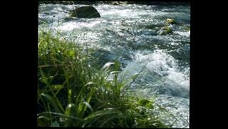 Watch the video about Sensual Symphony