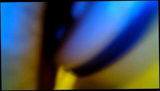 Video 229821245: solo cbt, cbt tease, solo boy, homemade