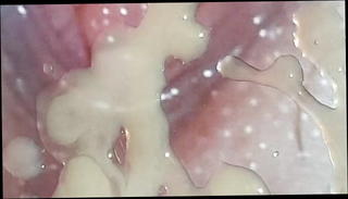 Video 1296138201: gay big cock cum, big cock amateur cums, sexy pussy, cum hd