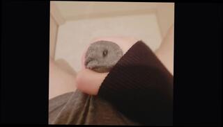 Video 1580232983: shemale solo pov, pov solo cumshot, solo masturbation pov, fetish solo masturbation, shemale solo trans, solo amateur trans, solo amateur ladyboy, pov handjob cumshot, solo fap, asian ladyboy pov, japanese ladyboy solo, cum together, dirty