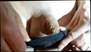 Video 1566443631: pantyhose solo, tiny solo, tiny dick shemale, tiny cock shemale, small cock shemale solo, cock lingerie pantyhose, pantyhose tights