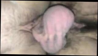 Video 369596401: clit slapping, ball slapping, tits doggy style, tit les, tits straight