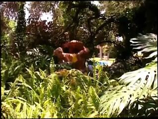 Video 206225401: straight hardcore, hardcore stories, hardcore shorts