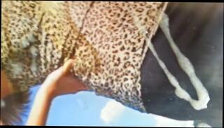 Video 115225301: cumtribute, man gay, big cumshot