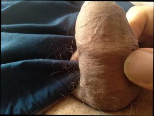 Video 1655869121: grandpa solo masturbation, grandpa bareback, solo boy masturbating cum, solo cock masturbation cum, dick solo masturbating cumming, solo gay boy masturbates, cock gay bareback sex, boys bareback hardcore sex, big cock grandpa cum, grandpa swallows cum, cock bareback white boy, daddy cock rough bareback, big cock blowjob bareback, older daddy dick bareback, black daddy cock bareback, young boy solo masturbation, latino gay hardcore bareback, gay men bareback sex, sex gay muscle bareback, solo hunk masturbating, homemade solo boy, big cock bareback breeding, bareback cum filled, gay man bareback filled, grandpa kissing, gay bareback hottest, solo masturbation hd, big brazilian bareback, ass big cock cum, big cock semen, dirty cock loving