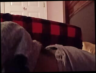 Video 1609867731: hairy twink solo, anal fingering butt plug, butt plug booty, sissy butt plug, twink fingers ass hole, fingering masturbate hairy, fingering gay twinks, big dick twink solo, hairy cock twink, solo amateur twink, hairy muscle solo, hairy young twink, hairy male solo, hairy man solo, gay horny twink fuck, homemade butt plug, gay twinks fucking men, arab fingering ass, fingering nasty, finger fucked european, gay twink american, solo bathroom masturbation, solo masturbation hd