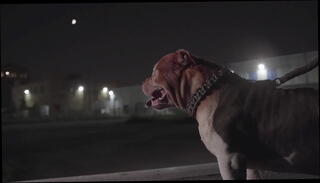 Video 1078108515: super hot hardcore, star hardcore, hardcore dance, exotic hardcore, celebrity hardcore, public hardcore