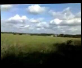 Video 46762301: straight amateur blows, straight mates