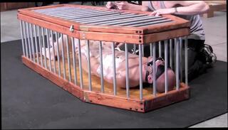Video 1662911021: bdsm gay bondage whipping, bondage domination bdsm, bdsm bondage gay boy, gay bondage handjob, sexual domination, master dominic, dominant bitch, trap domination, little domination, dominates two, domination hd