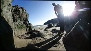 Video 1118741301: gay beach boys, boys wrestling gay, gay muscle boy, gay boys outdoor, gay military boy, gay muscular boys, boy striptease