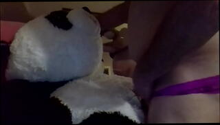 Video 1132464985: furry bear