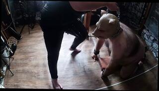 Video 1653405641: femdom strapon pegging slave, bondage slave femdom domination, bdsm bondage slave femdom, strapon femdom pegging anal, strapon mistress pegs, female domination bondage bdsm, femdom fetish mistress, femdom anal fucking machine, bbw fucking machine, bondage sex extreme bdsm, chained sex slave, bdsm slut dominated, mistress pegging sub, bbw fetish mature, bondage anal sex experience, fuck machine first, fucking machines hd, femdom pet play, british bbw fucked, straight pegging, haired mistress, anal part 1