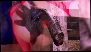 Video 1559955101: bbc bareback creampie, barebacked fucking anal creampie, bbc fucking sissy, shemale sissy bbc, fucks guy bareback creampie, creampie bbc pussy, bareback creampie ass, big ass bareback creampie, sissy vs bbc, cock bareback anal fucking