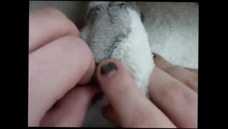 Video 1599572963: solo masturbation chubby, chubby girl solo, amateur girl solo masturbation, chubby trans girl, woman solo masturbation, solo masturbation close, girl clothes, 60fps amateur