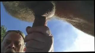 Video 102200201: amateur gay cock sucking, daddy bear sucking cock, amateur cock sucking outdoors, cock sucking blowjob, sucking long cock, sucking bearded