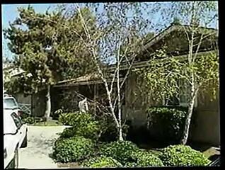 Video 255628801: vintage shemale porn, vintage tranny, vintage mature