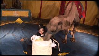 Video 1659248411: pierce bangs, chick banged, fucker bangs, anal banged, pussy piercings anal, girl anal pussy, beautiful pussy piercing, shaved pierced pussy, mouth pussy anal, straight chicks, pierced cutie, cosplay chick, fishnet anal, anal hd