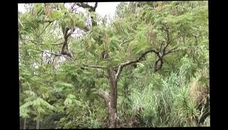 Video 1656163541: latino gay anal fucking, gay guy anal fucks, gay outdoor anal fucking, hot gay anal fucking, blowjob hot anal fucking, hot public gay blowjob, anal fuck pleasure, anal fuck hd