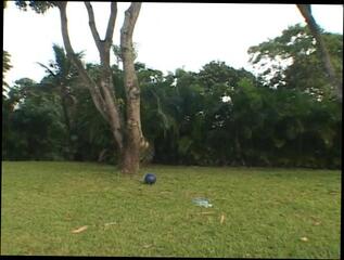 Video 39531801: shemale orgy, orgy porn