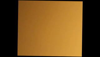 Video 772634565: woman anal sex, black woman sex, ebony anal sex