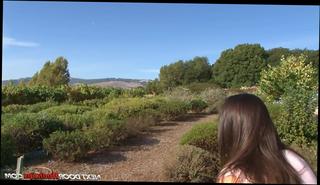 Video 49802404: tyler torro, babe blowjob hardcore, play time daddy, boy hard