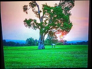 Video 1586082461: bareback twink massage, gay bareback twink boy, barebacks young twink gay, twink bareback ass, twink big cock bareback, hunk barebacks twink, twink daddy bareback, twink bareback anal, twinks blowjob bareback, twink amateur bareback, barebacks black twink, twink hot bareback, twink teacher gay, twink boy arab, gay twink american, gay twink old young, gay twink hd, webcam massage, coach massage, massage training, horny training, horny boner, sucking delicious, horny lips