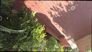 Video 1653836571: crossdressing gay twink, twink cock cums, twink big cock cum, crossdresser masturbating cumming, twink amateur cums, gay twink cumshot, twink cums outdoors, gay italian twink, crossdresser close, twink hd, jerking outside, men jerking