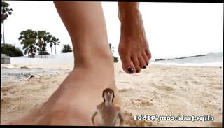 Video 1148031901: bdsm femdom mistress, goddess mistress, goddess strips, woman femdom, straight bdsm, giantess goddess, goddess queen, muscular goddess