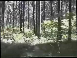 Video 271558701: amateur spanking, spanking straight, russian spanking