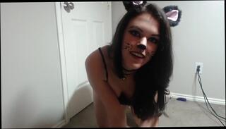 Video 157744404: pussy kat, anal webcam toys, webcam toy masturbation, amateur webcam toy, anal toys hd