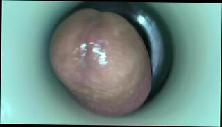 Video 355147101: cam cums hard, cum cam man, gay cums hard, cam time, hd cam, hard cock