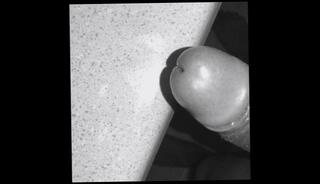 Video 256352703: chubby boy solo, chubby gay solo, chubby male solo, ass pussy solo fuck, bubble butt chubby, chubby cum slut, solo big dick cum, chubby amateur slut, chubby straight boys, chubby white slut, thug solo, solo male public, fat bubble butt