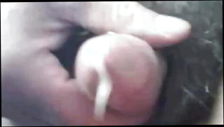 Video 1567750591: gay webcam, uncle gay, chinese bear gay, gay asian bear