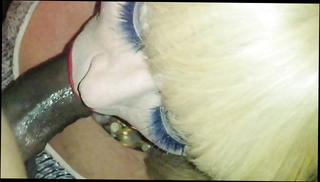 Video 1131020701: black shemale couple