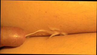 Video 1436651701: masturbation orgasm cum, masturbation orgasm cumshot, amateur handjob cum, gay handjob cum, masturbation orgasm hd, orgasmic eruption, legs orgasm, thick cum