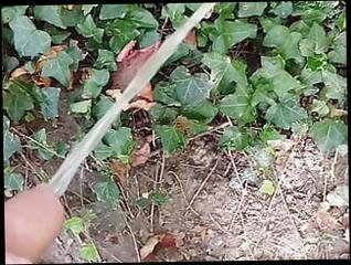 Video 1603079121: twink piss cum, twink piss gay, twink pissing outdoors, piss cum gay men, amateur gay piss, gay twink hd, one cum