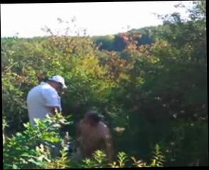 Video 1185674101: sexy daddy bear, gay daddy, takes daddys load, daddy beach, daddy head