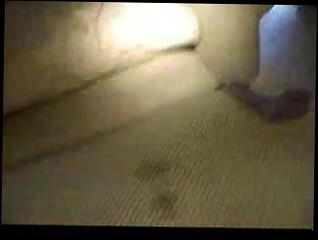 Video 8980501: fingering amateur lesbians, lesbian pussy licking, amateur lesbian home, lesbian straight, extreme lesbian, lesbian female, extreme ejaculation