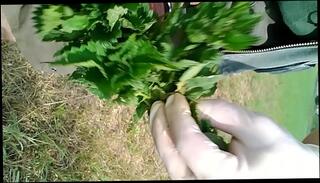 Video 275559965: solo cbt, amateur cbt, solo boy