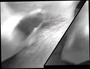 Video 17035601: large sperm, man gay