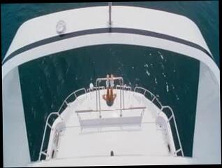 Video 42152001: jaime pressly, american bikini, white bikini, porn straight, wearing sexy red, celebrity porn