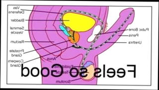 Video 1129283001: shemale anal, shemale hypno