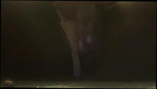 Video 812867603: teen babe solo masturbation, amateur teen babe solo, solo big tit babe, big tits ebony solo, solo female big tits, mature babe solo, amateur teen masturbating, high horny