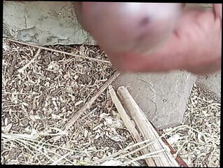 Video 1610703751: teen gay big cock, gay big black cock, teen young big cock, college teen cock, old gay cock, gay cock outdoors, big black cock hd