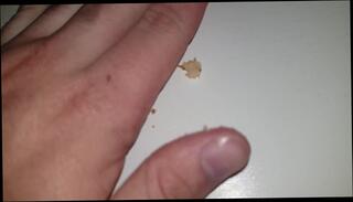 Video 806835003: fetish solo, amateur solo male, eating fetish, sweet solo, wet fetish, yummy amateur