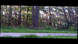 Video 242357201: naked gay man, naked exhibition