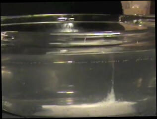 Video 25330601: cock squirting cum, cum shot collection, gay collection, man collection, cum shot close, table cum