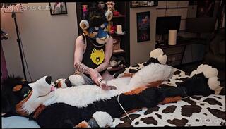 Video 1654890573: bdsm torment, fetish torment, furry fetish, bdsm milking, bdsm orgasm cum, cum fetish amateur, gay cum fetish, gay fetish cumshot, milking moaning, fetish male gay, tied tormented, hand milked, milking close, leather bdsm