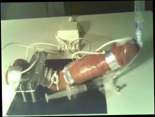 Video 181035904: milking machine, gay bdsm